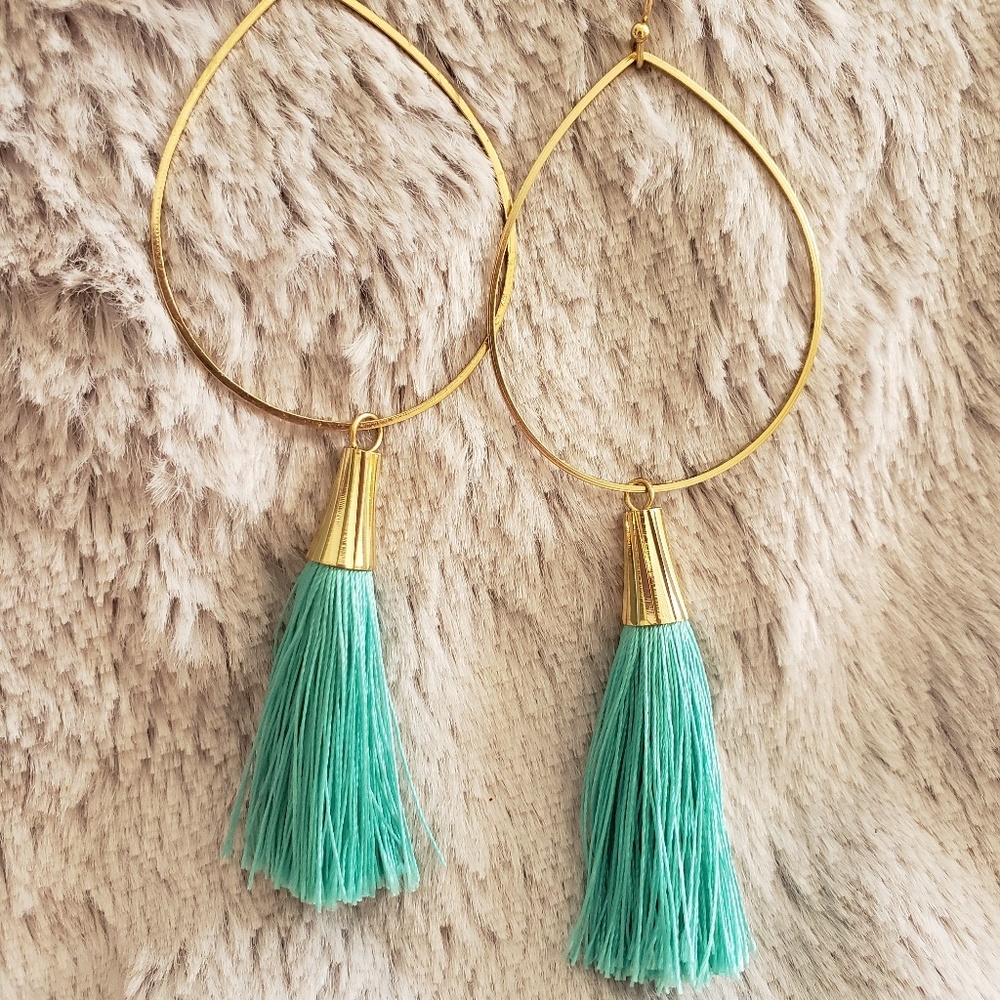 Turquoise tassel earrings NWOT